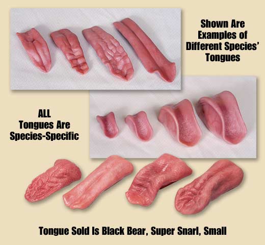 TTSS002
