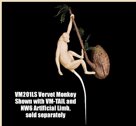 VM201LS