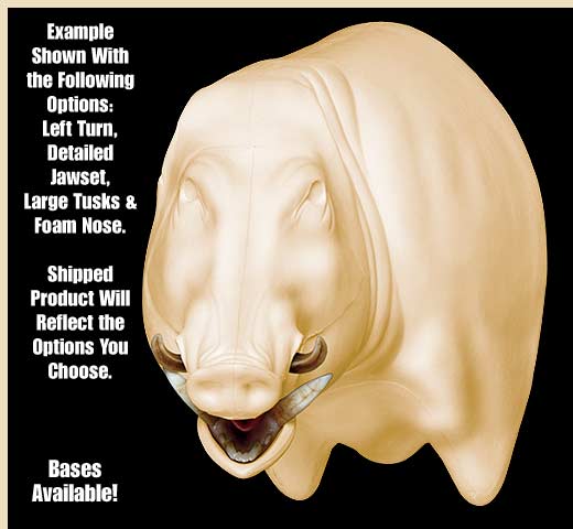 WB801NDN