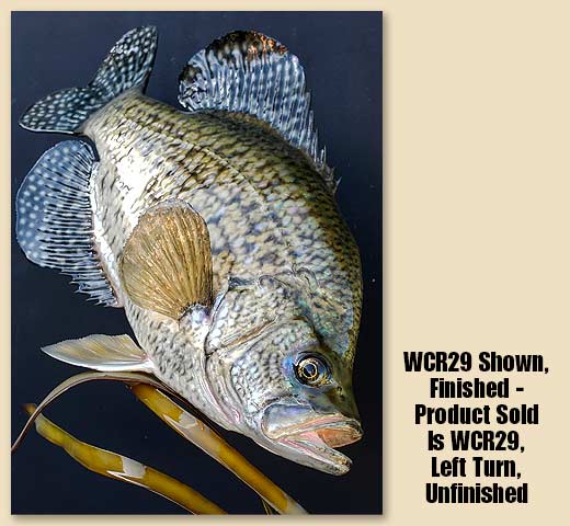 WCR29