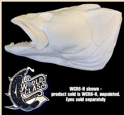 WCR8-H