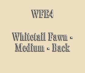 WFE4