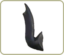 WN104