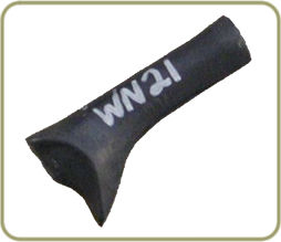 WN21