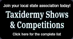 taxidermy state shows