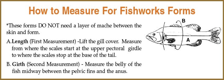 How To Measure For Fishworks Forms